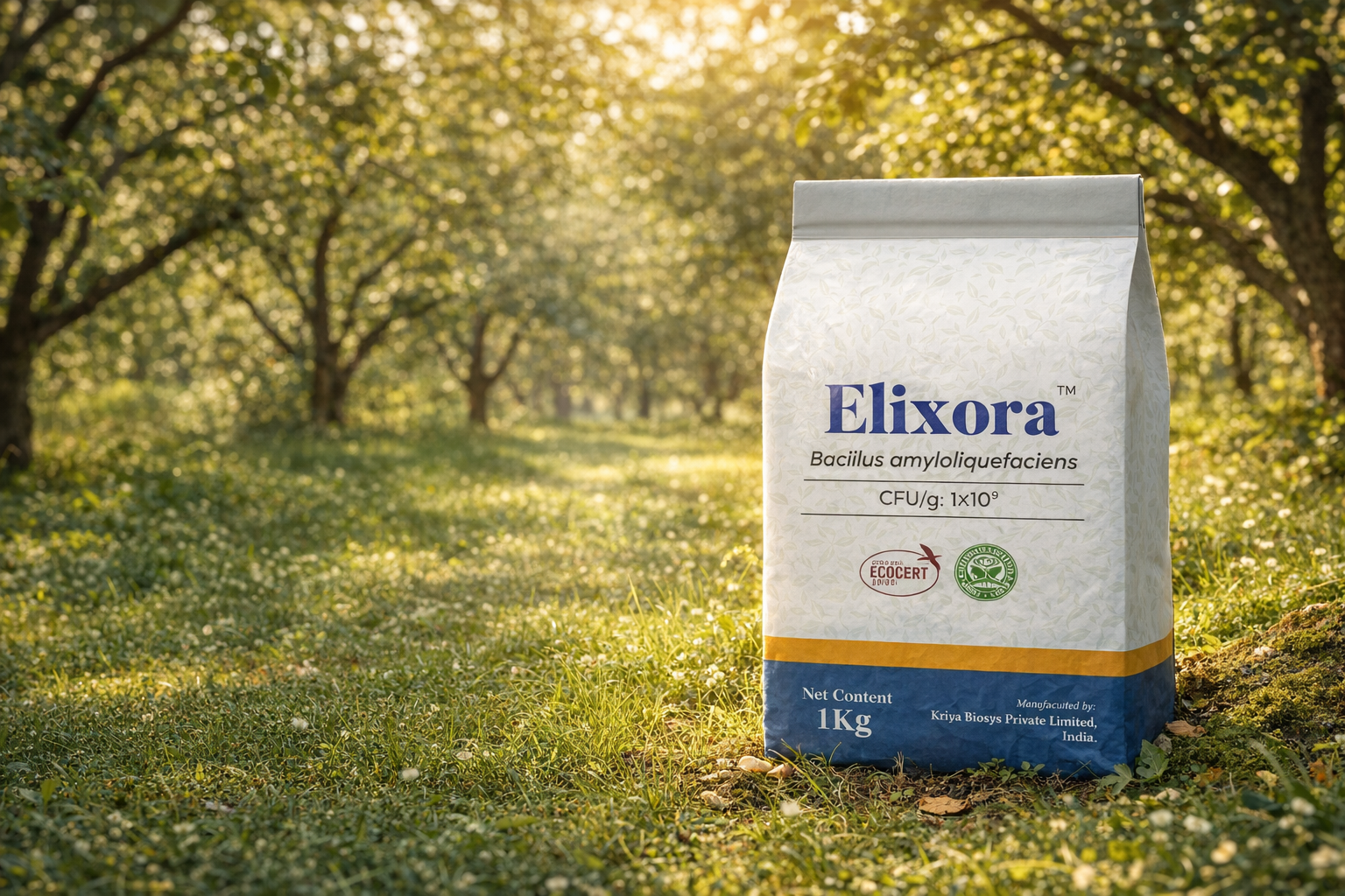 Elixora product imagery placeholder